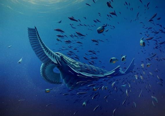 Giganti dei mari di 500 milioni di anni fa