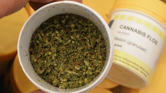 Cannabis: in Toscana prescrizioni del medico di famiglia