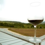Continua il Grand Tour: La Campania dei vini