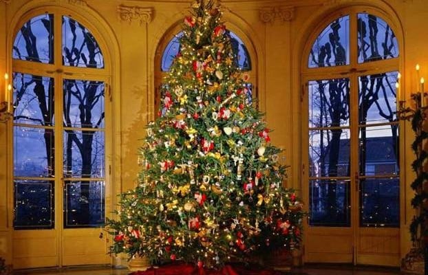 “Sogni Sotto L’albero”: il Natale tra arte, moda e spettacolo