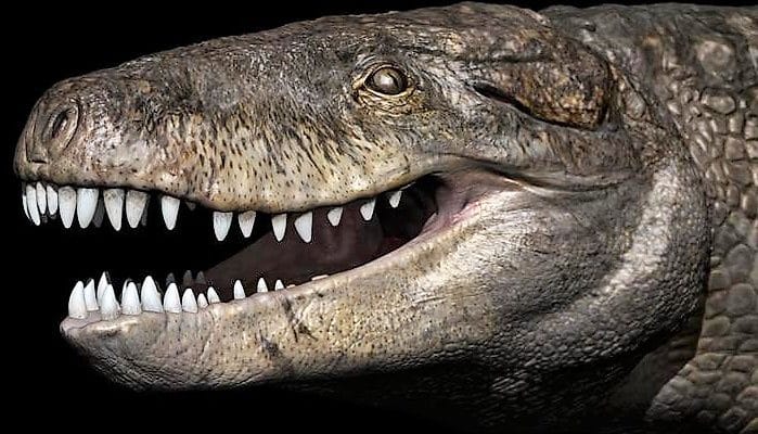 Razana, il coccodrillo giurassico con il morso da T. Rex