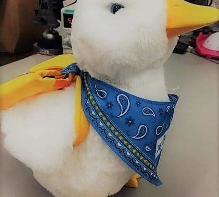 My special Aflac Duck: l’anatra robot amica dei bambini