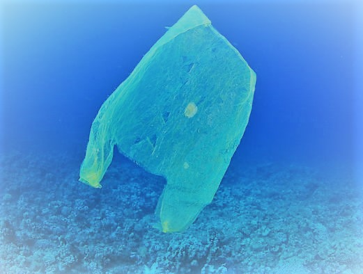 Lotta alla plastica negli oceani per la ‘Giornata mondiale dell’Ambiente’