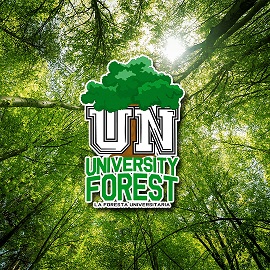 University Network e Treedom lanciano il progetto “La Foresta Universitaria”