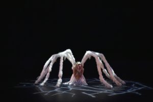 I fantastici Momix in scena al Teatro Bellini di Napoli (momix2by Andrea Chemelli 300x200)