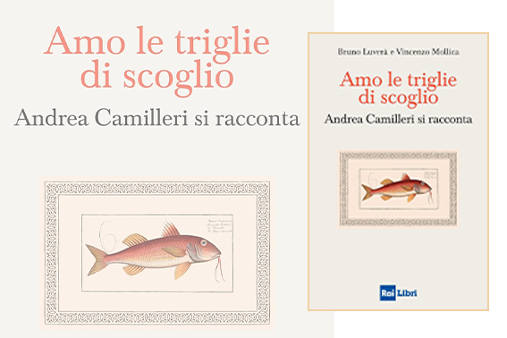 Spettacoli, musica, eventi... Spettacoli, musica, eventi... (amo le troglie)