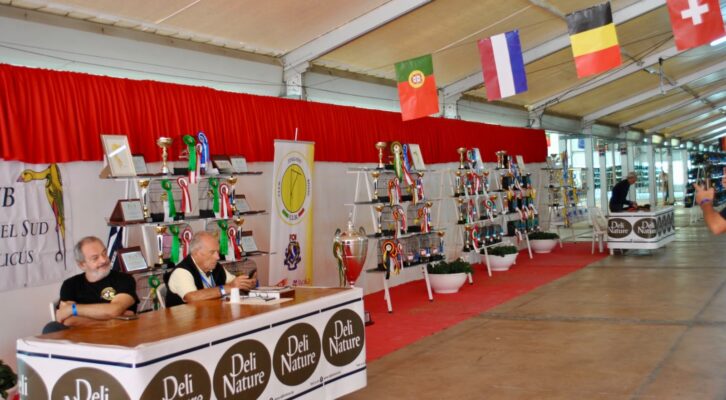 Spettacoli, musica, eventi... (ornitologia01 726x400)